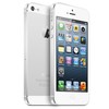 Apple iPhone 5 64Gb white - Копейск